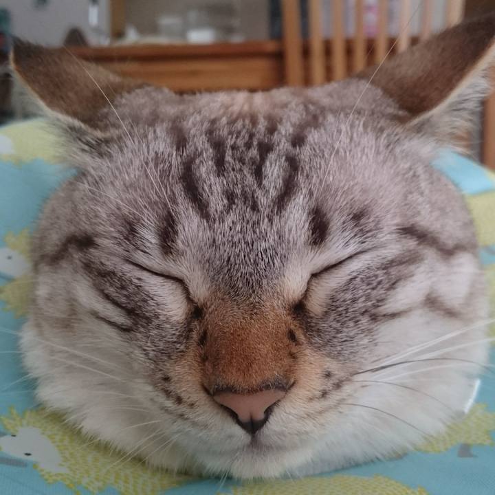 Ae9ff684 490f 4ce3 a08c 006c8bf0593a