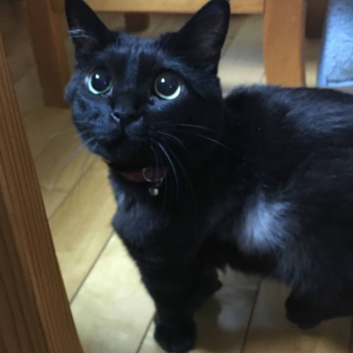 Aea0382c 9046 4764 a585 f6af7a38ce63