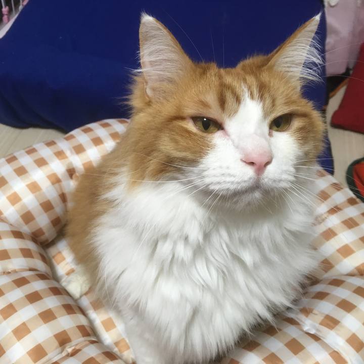 Aea07d80 66a6 4c25 804c 96e0bfa63e93