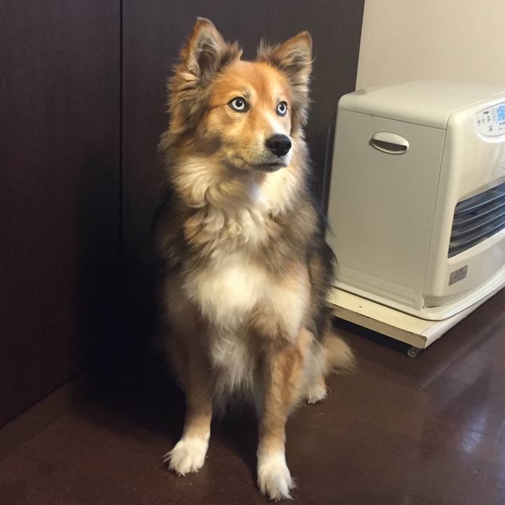 Aea099bf 1512 45c8 88b3 b57d5941fe0d