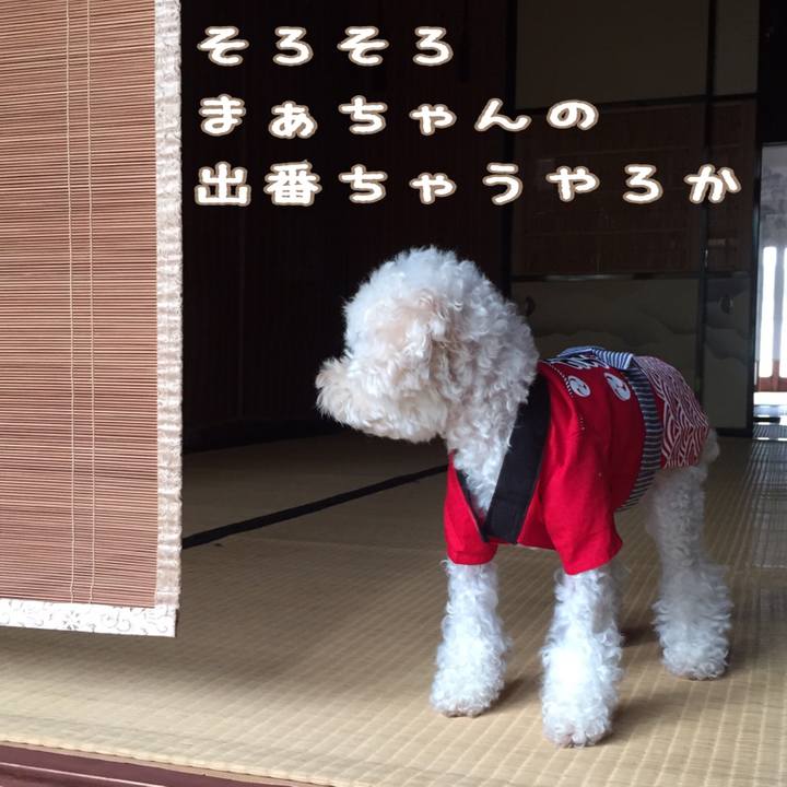 Aea0a4c8 5ff8 413e a9b4 9068452d3ed1