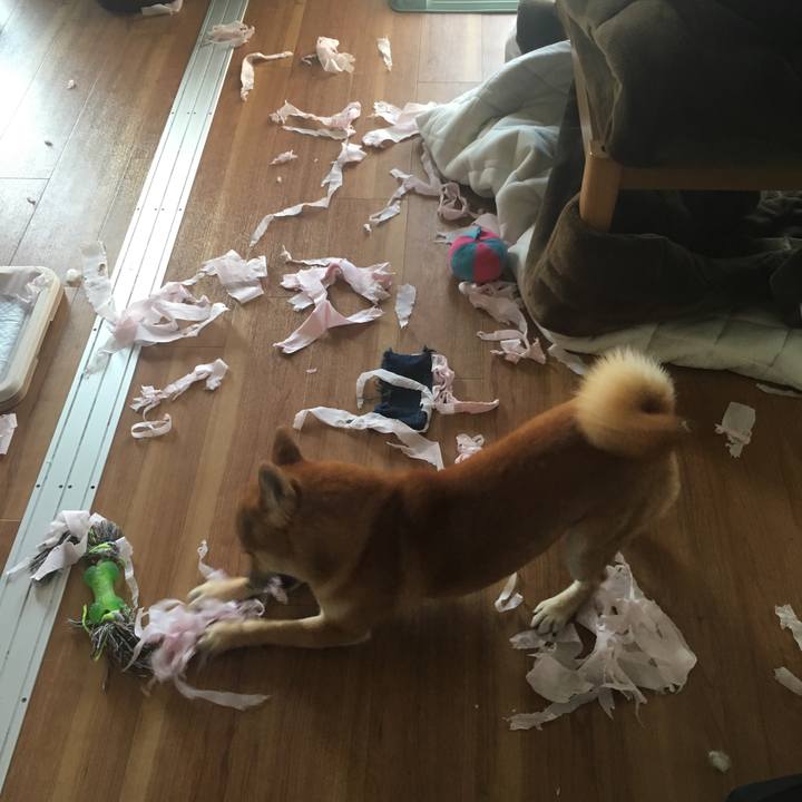 Aea1cff5 9d78 48be b1d4 75e5a80746fa