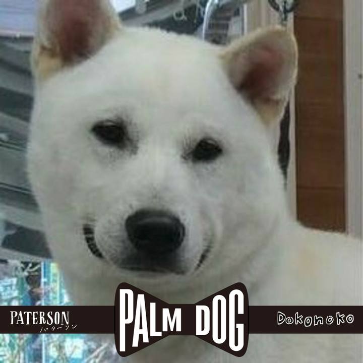 Aea2a6b8 eebf 42bf a9ed 317cd33cc130