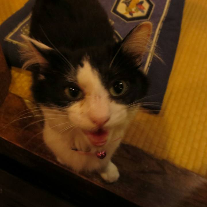 Aea30d1f 7188 49dd 82d6 f584cc60aaf4