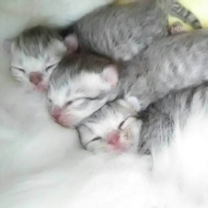 Aea40efc 6c58 452a 8bb0 5f510ed1dbe5