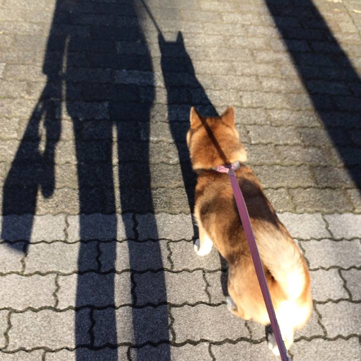 Aea43aed 9d11 45f7 a0e3 009a53cc5f36