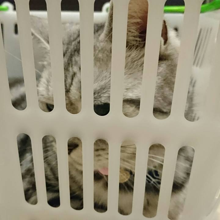 Aea479c1 6114 4a0e a30b d6a7083f027b