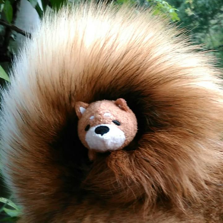 Aea47ca1 3a56 4759 adcb aafe53261779