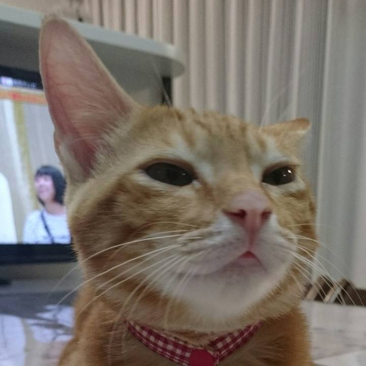 Aea4d1e3 f1fa 423b 8ba7 b3a9f00d599d