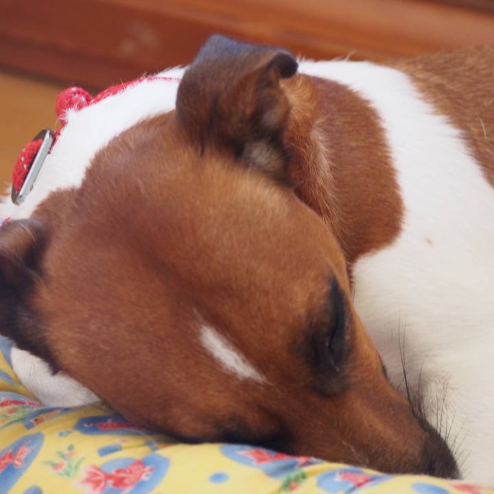 Aea64904 bfc3 4673 bfe3 a20a8138f51c