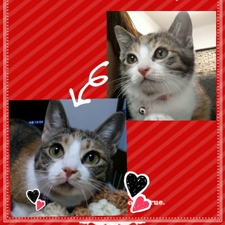 Aea66bb0 c857 4f91 806e 636f42a52a31