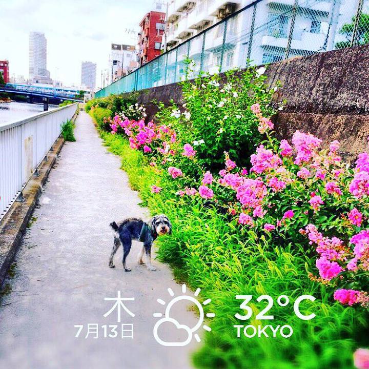 Aea687b0 4034 4156 bd87 00e92fc1ab40