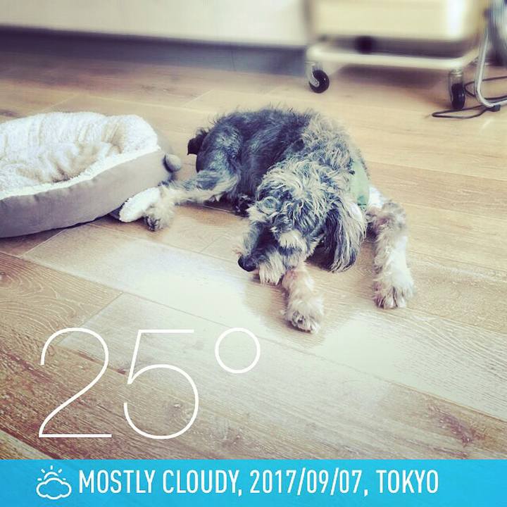 Aea6e23a 7cc7 4439 a2d6 59be334a962c