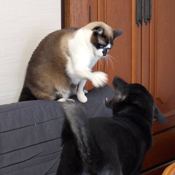 Aea72ef2 d6a3 4bb9 a6fe 7fe96e4aab61