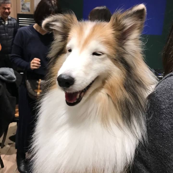 Aea76cd1 fd03 4282 a705 cb8328161f32