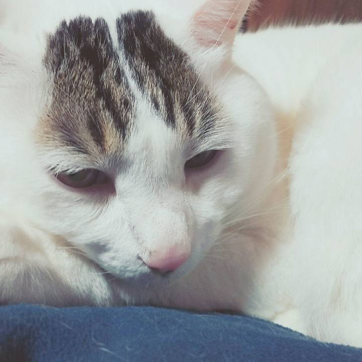 Aea76e14 ef1f 4f29 893c e72104b2dc1e