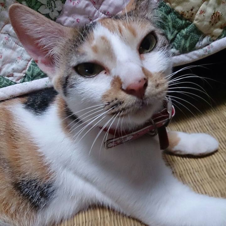 Aea79549 6b95 4dee 9021 a33bdb80c8e1