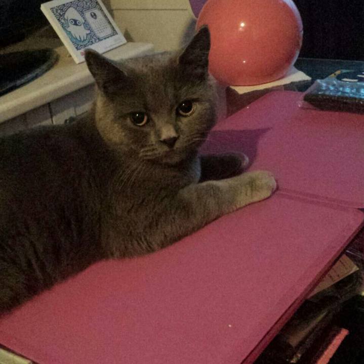 Aea796ea 0b70 4dc6 85b1 e744286e0d94