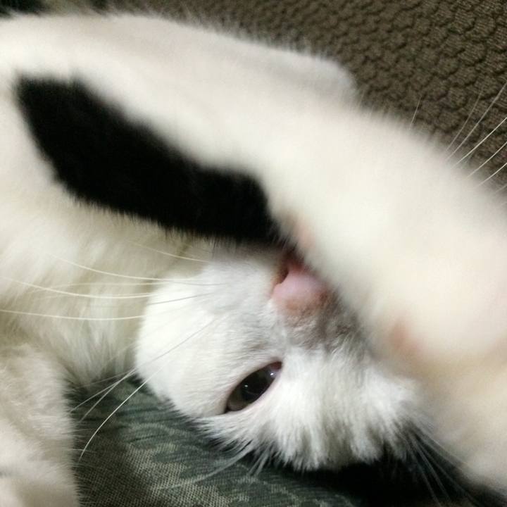 Aea7c9ee 8de9 48a0 9c9b 88c6a7d1b207