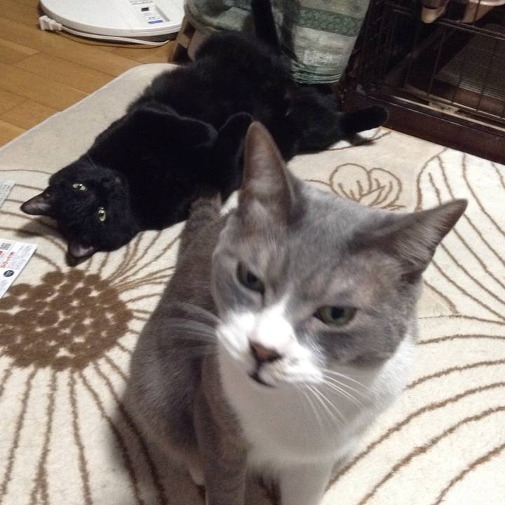 Aea7d88c f7fb 49d4 a800 42adb0b41bff