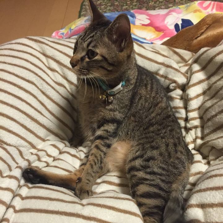 Aea813ae 1292 496a b8cc 5482e24a9758