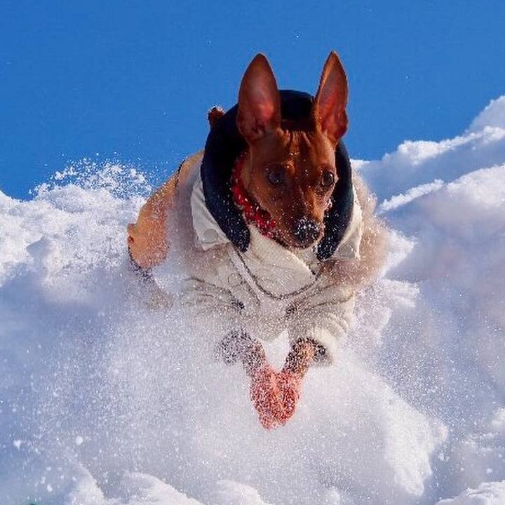 Aea832fd 2e93 4f93 bdec 340c4d916f55