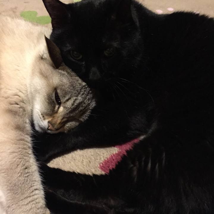 Aea8c580 1e88 4e6e afa5 9bae6182984d