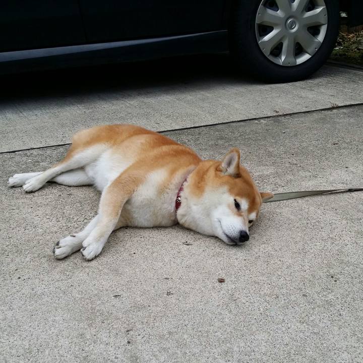 Aea90bbc 4e02 4241 b4c7 8e89ec2797e6