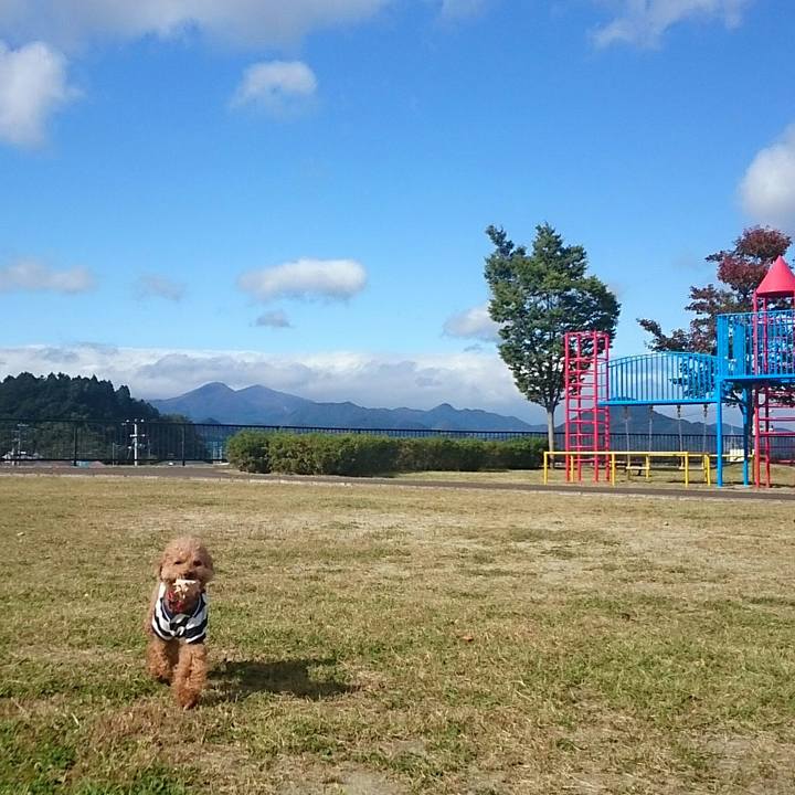 Aea932e1 deda 4ab7 87ff 49ec546cb21a