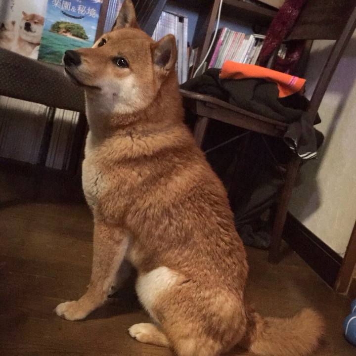 Aea9b090 8805 44bb bba7 0450af3dacb6