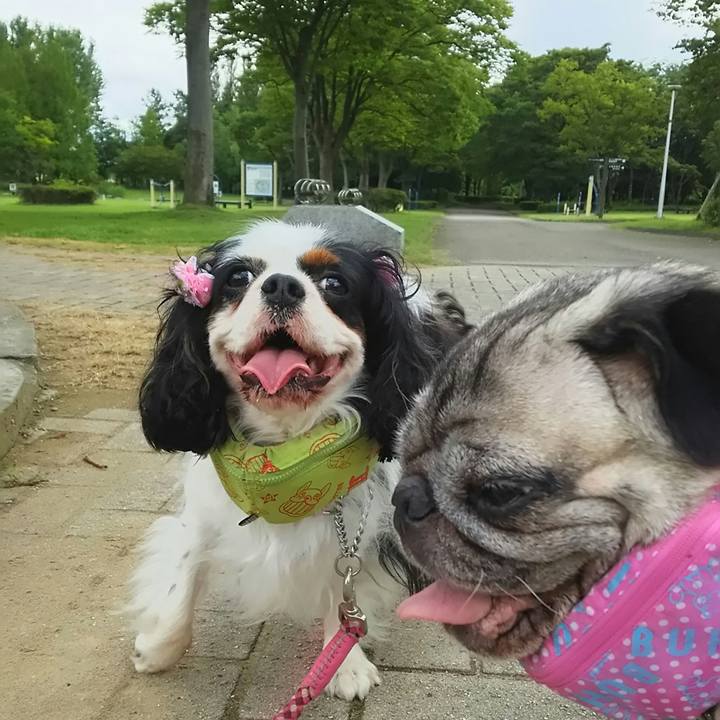 Aea9f205 5219 4f07 91fd c82ad1accd5e