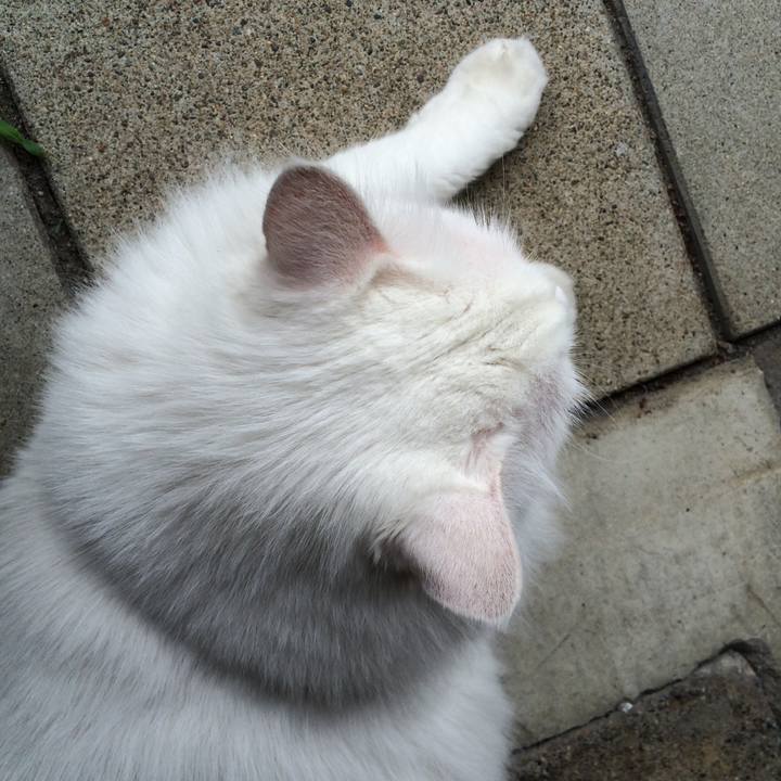 Aeaa1627 5c7d 4a68 b5da 8e708f25aabd