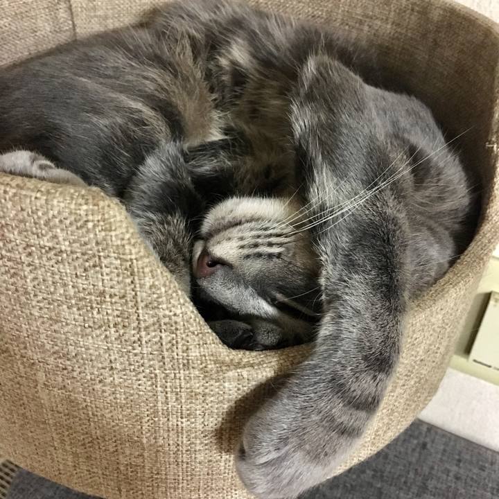 Aeaac5ae e441 4768 b6f2 a7e99e68be34