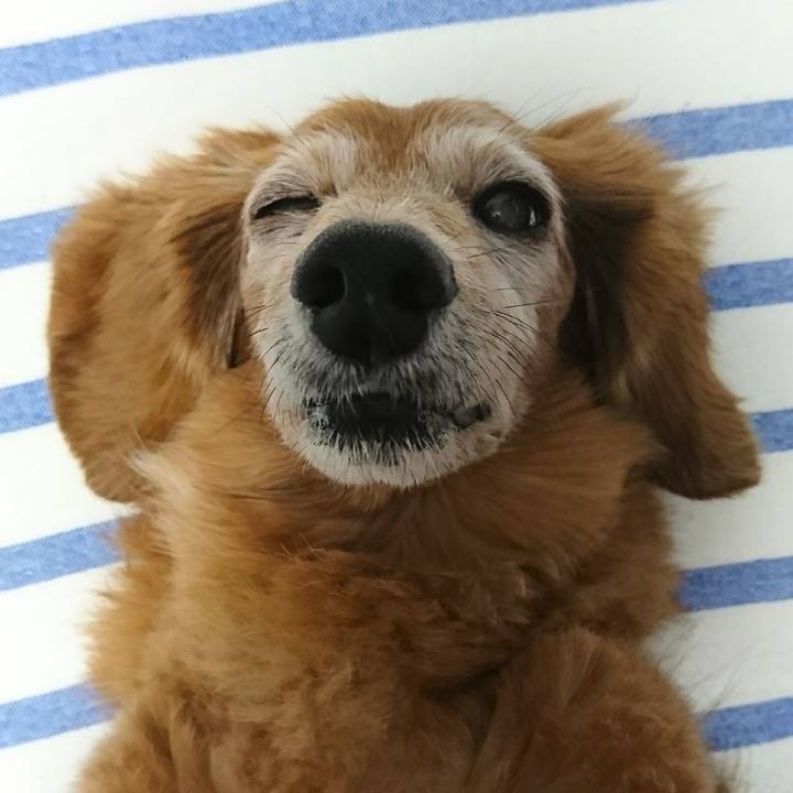 Aeabcfe0 ca32 4f8c 8789 e344d1f5784e