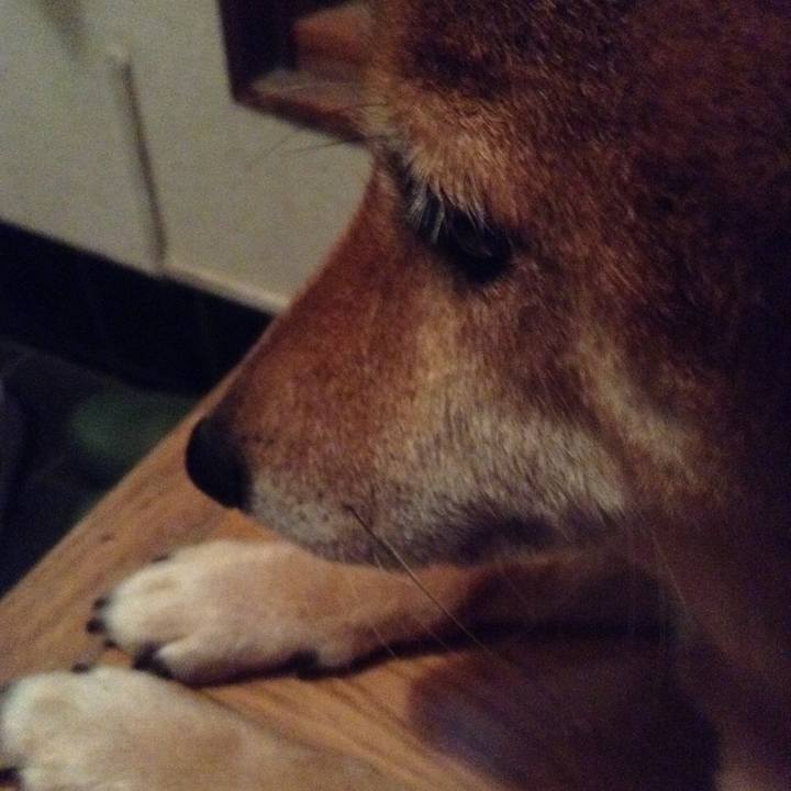 Aeabf05c 3926 4f63 878a 7c0569f5f4ae