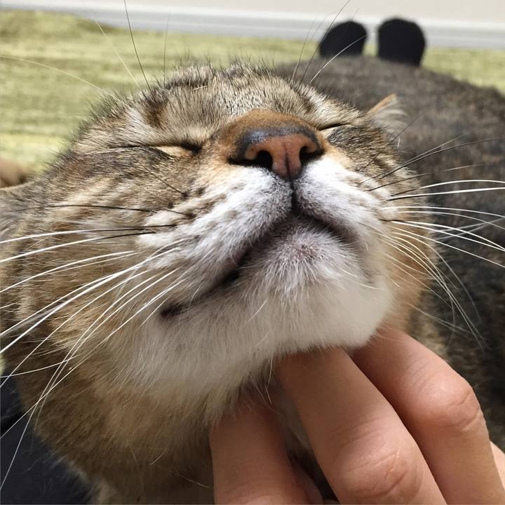 Aead0d51 4692 48da 8946 e8f714d52698