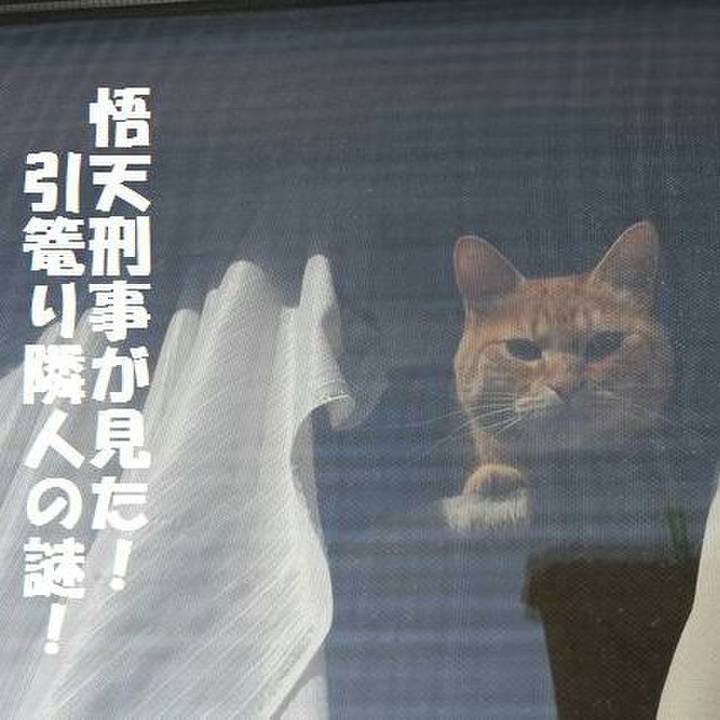 Aead1d0b ebe0 427a a95e e241a110d89c