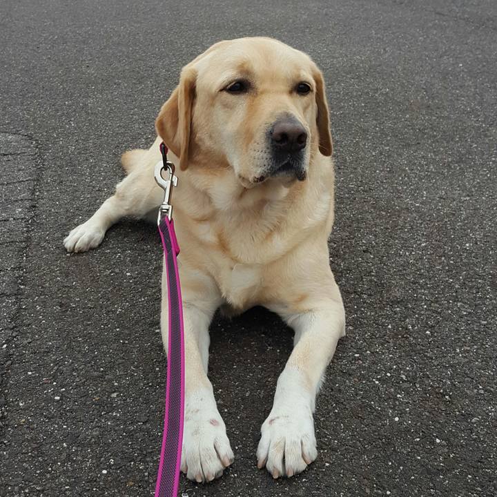 Aead2c06 06db 4f15 8e71 92649f6787cc