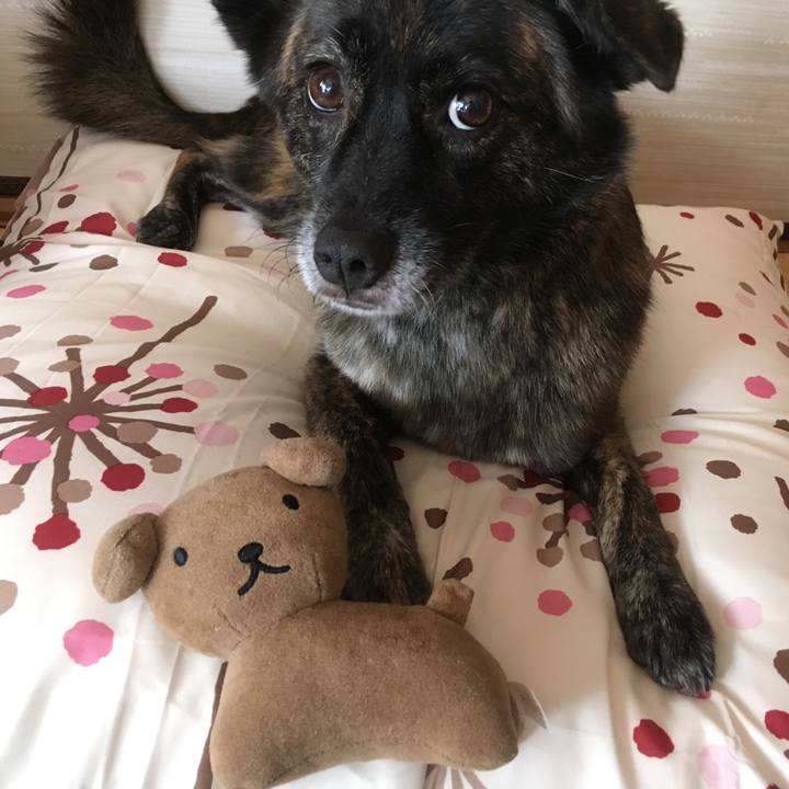 Aeae2167 6466 4d22 aa1a 42652467b48a