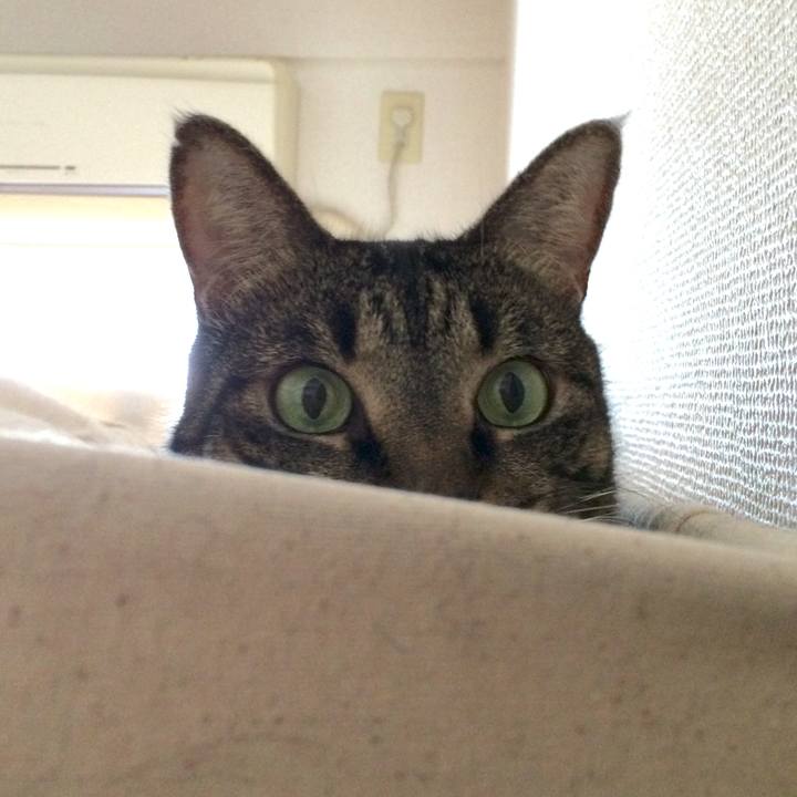 Aeaf3ab1 6f38 439a 8167 0a2c5329b846