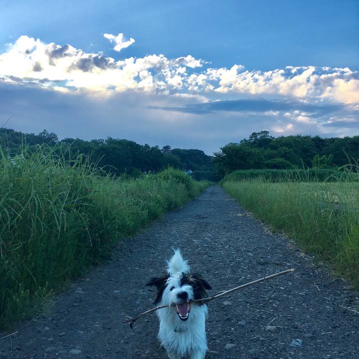 Aeb01fe4 98f4 4f4e 97dd 197790cc0072