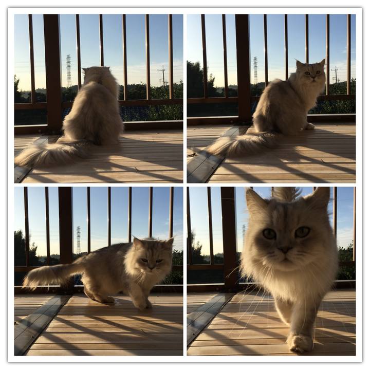 Aeb07477 fe76 4176 9f1b 1f3eb8f91b4a