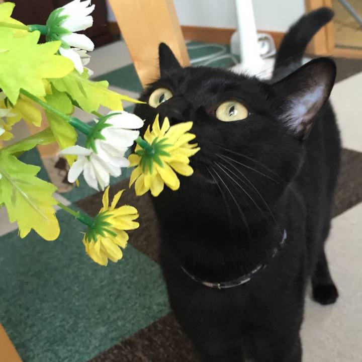 Aeb0a3b8 b943 44df 988b 2f534c86e782