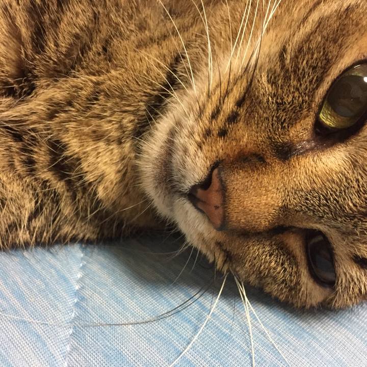 Aeb0bdde 9faf 48a6 96e7 15132558bc13