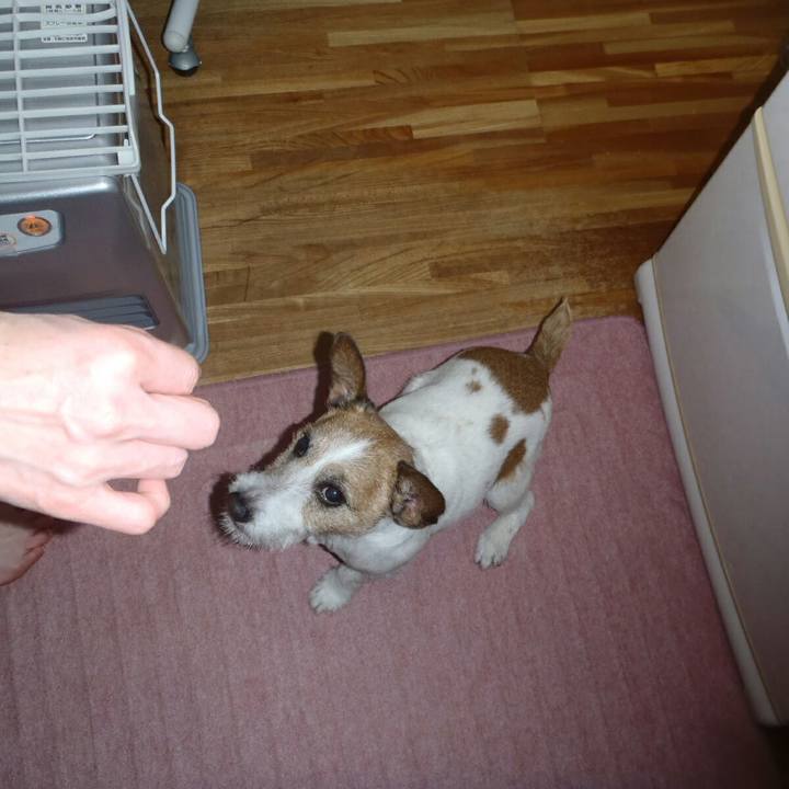 Aeb0ccf5 7a78 41ba b2c0 6d8119e4d3f3