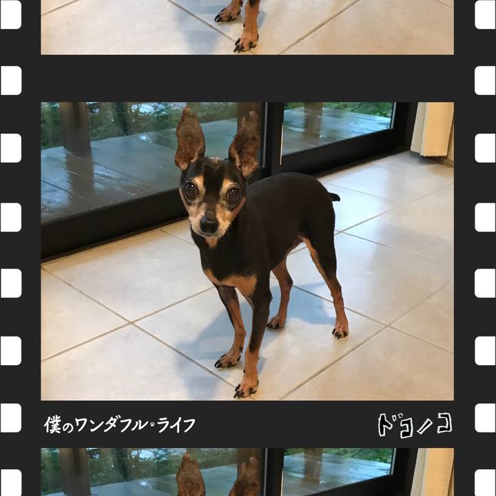 Aeb0f4db ff00 4b3c 9cb9 9a1683bf7eac