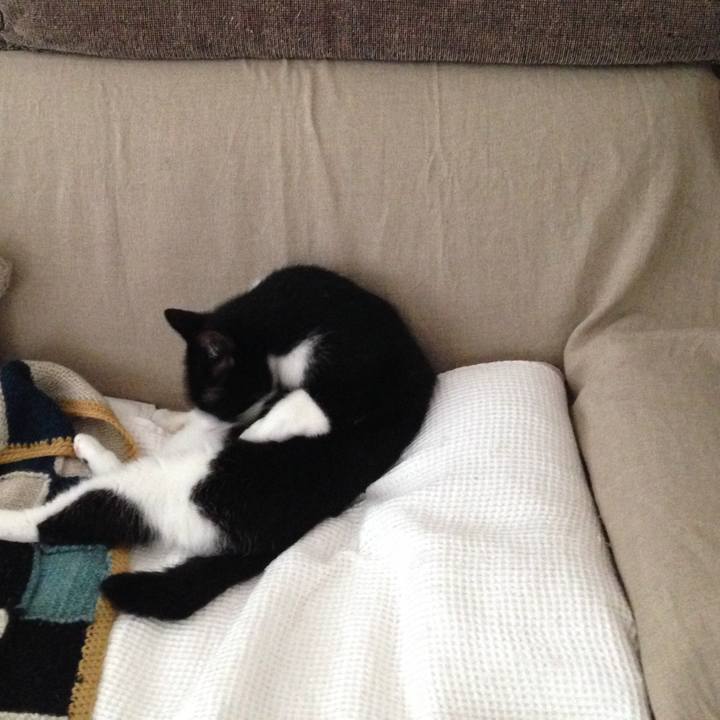 Aeb12ad3 0e7c 4caf bbb3 7c22fe2d3123