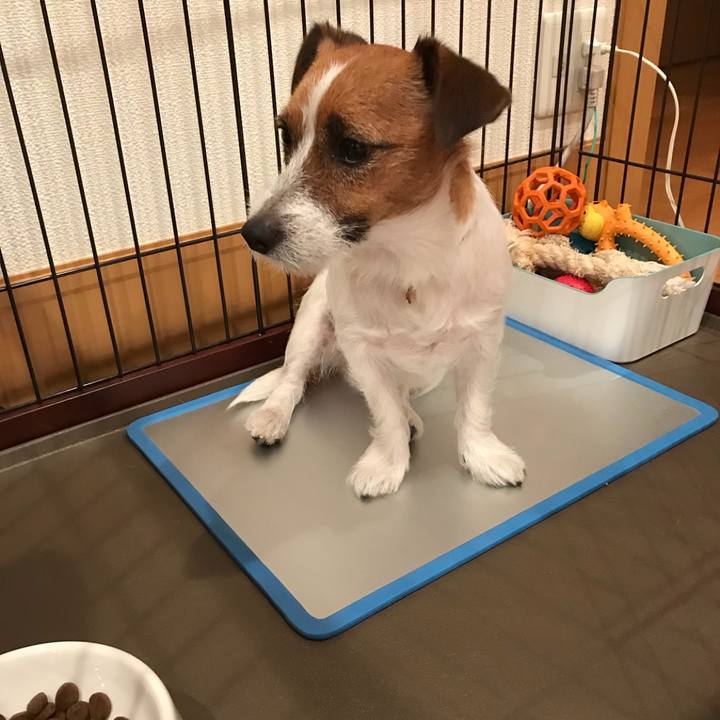 Aeb1af12 721c 4d79 a51b aa329b677fb5