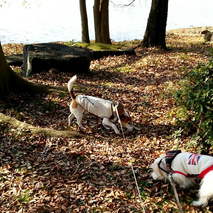 Aeb27ebc e17b 46f0 988f cf86fb19b54d