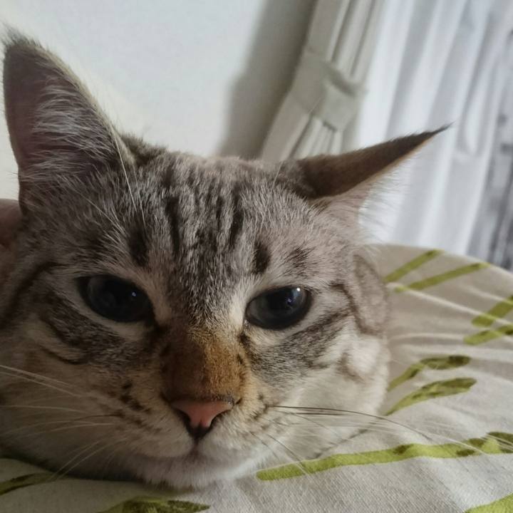 Aeb2d255 b132 41ea a675 2b4481dc9975